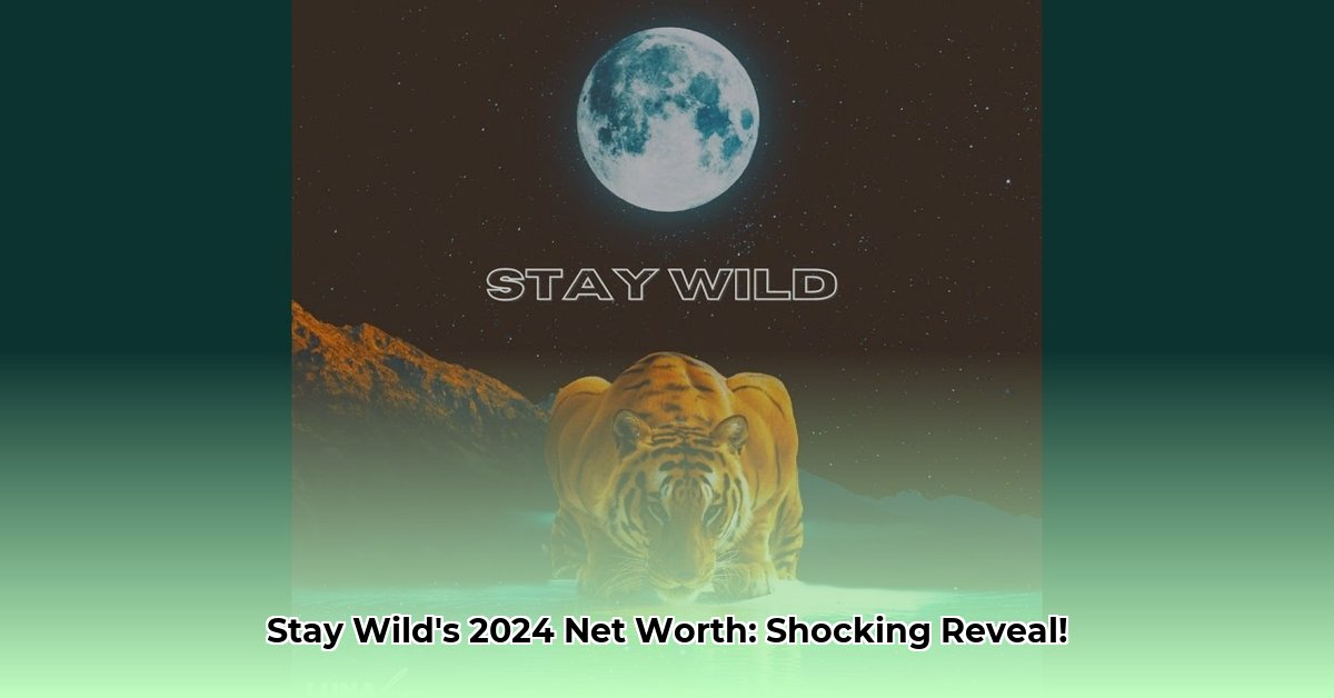 stay wild youtube net worth